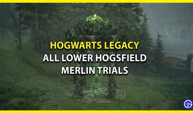 Alle Prüfungen von Merlin in Lower Hogsfield Hogwarts Legacy – wie man sie löst