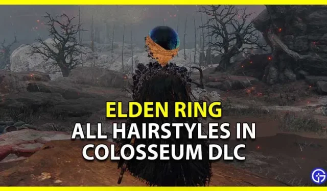 Elden Ring Colosseum DLC : Liste de toutes les nouvelles coiffures