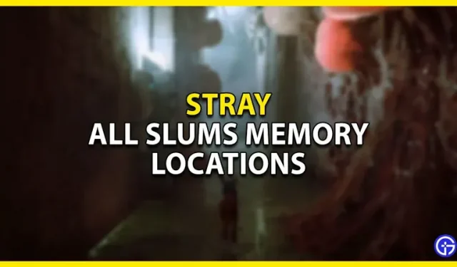 Stray: All Slum Memory Locations