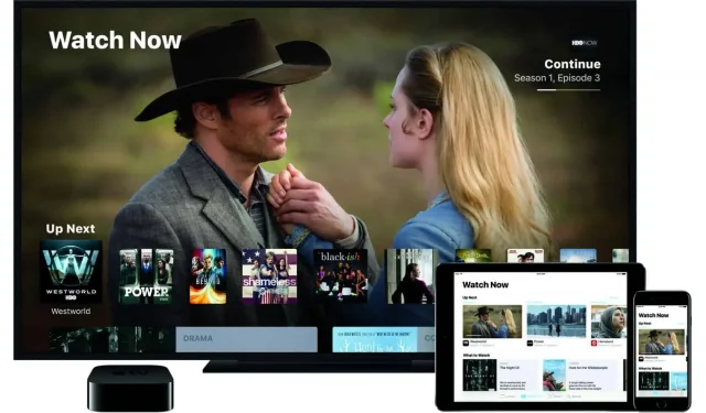 Apple, Apple TV+의 새로운 광고를 위해 Lauren Fry를 고용합니까?