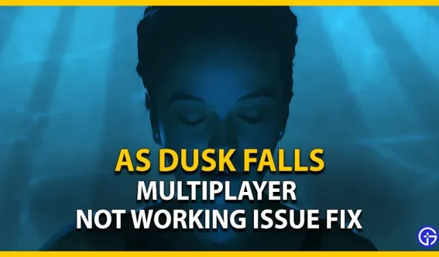Multiplayer As Dusk Falls não funciona.
