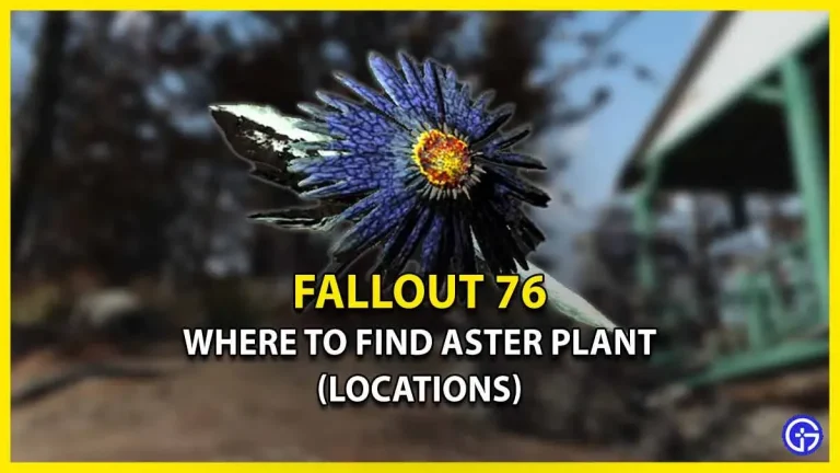 Aster plant in Fallout 76: where to find it (location guide)