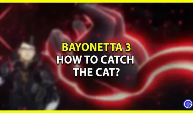 ベヨネッタ3で猫を捕まえる方法は？(アンブランの血の涙の収集品)