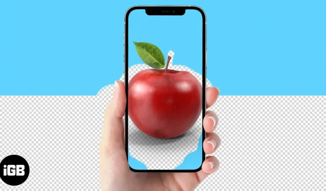 Bedste Background Remover Apps til iPhone i 2022 (gratis og betalt)