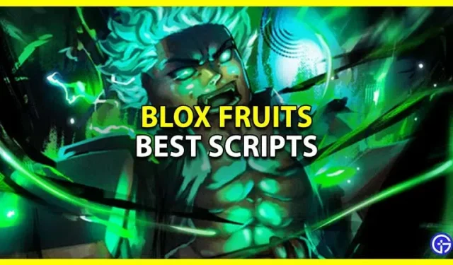 Beste Blox Fruits-Skripte (Februar 2023)