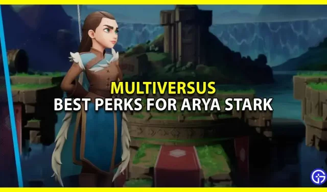 Jakie są najlepsze profity dla Aryi Stark w MultiVersus?