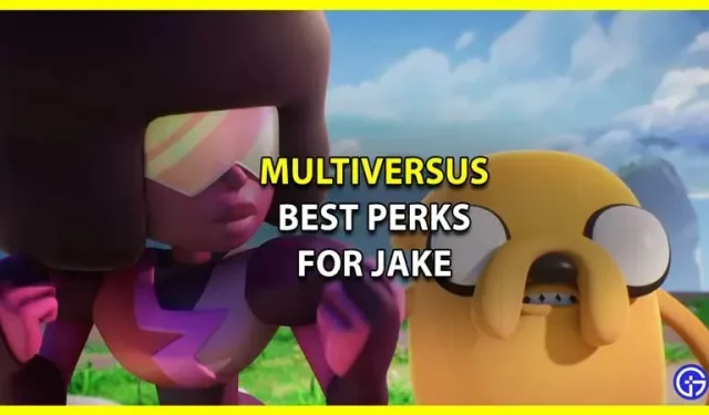 „MultiVersus“ geriausios privilegijos Džeikui