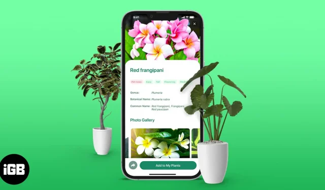 Die besten Apps zur Pflanzenbestimmung für das iPhone im Jahr 2022