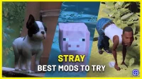 Stray: 7 bästa mods värda att använda