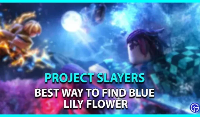 Project Slayers: The Best Way to Find Blue Lily Flowers
