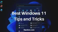 Top Windows 11 Tips and Tricks Everyone Should Know