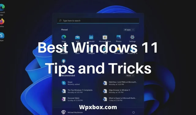 Top Windows 11 Tips and Tricks Everyone Should Know