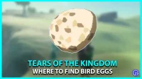 Zelda TOTK -lintujen munien sijainti (viljelyopas)