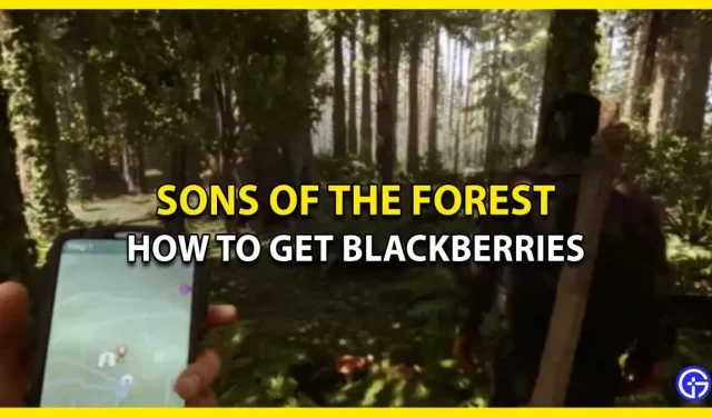 Blackberry-Standorte in Sons Of The Forest: wo zu finden