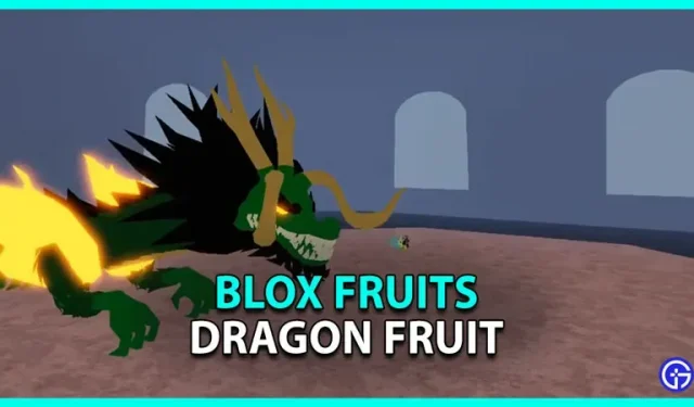 Blox Fruits: Was ist Drachenfrucht?