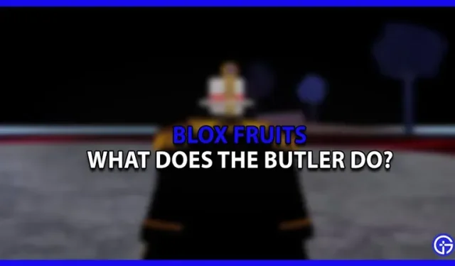 What does the butler do at Blox Fruits?