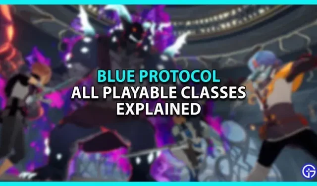 설명: 모든 블루 프로토콜 플레이 가능 클래스