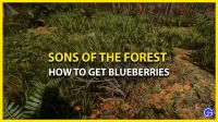 How to find blueberries in Sons of the Forest (location)