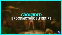 Grounded Broodmother BLT-Rezept: Wo man es findet und herstellt