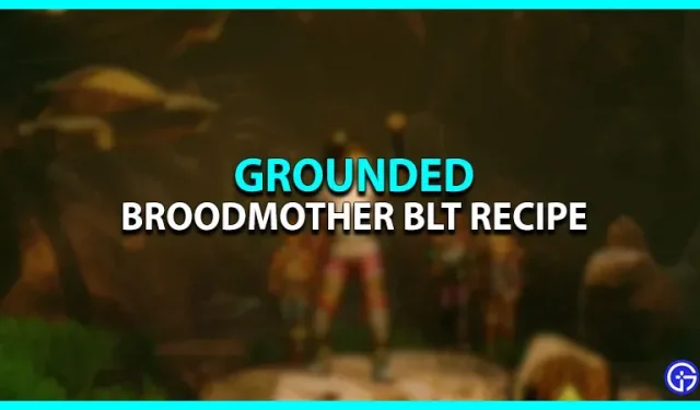 Grounded Broodmother BLT-Rezept: Wo man es findet und herstellt