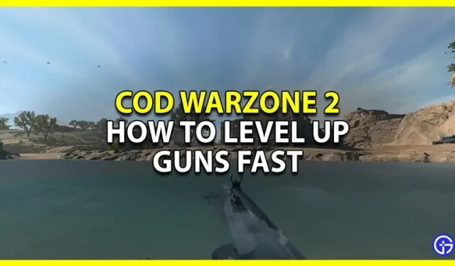 CoD Warzone 2: How to level up weapons (quickly)