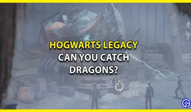 Pouvez-vous attraper et chevaucher des dragons dans Hogwarts Legacy ?