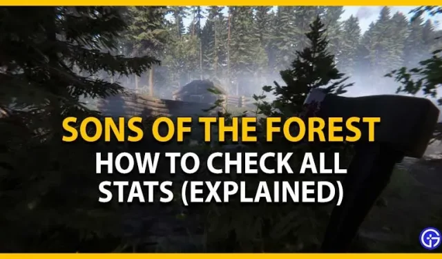 ゲーム Sons of the Forest で統計を表示する方法とその意味