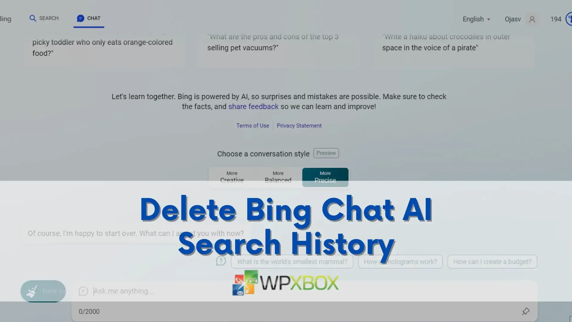 Kustutage Bing Chat AI otsinguajalugu
