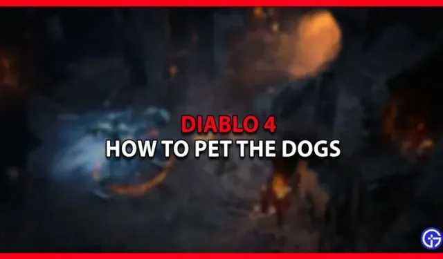 Wie man Hunde in Diablo 4 streichelt