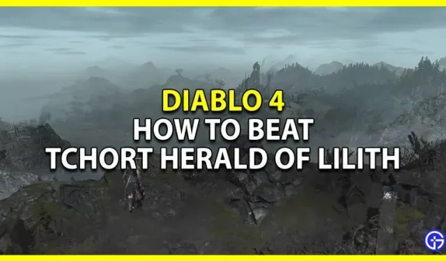 Kaip nugalėti Devil Herald Lilith Diablo 4