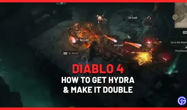 Wie bekomme ich Hydra in Diablo 4 (Zauberer)?