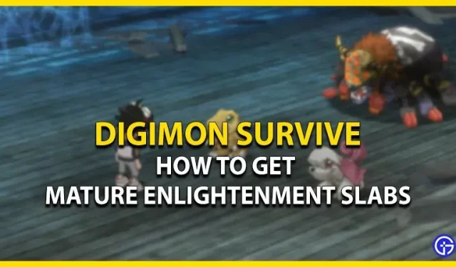 Digimon Survive Mature Enlightenment Slabs: 획득 및 사용 방법