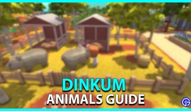 Dinkum-Tierführer – Zähmen, Jagen, Fallenstellen und mehr