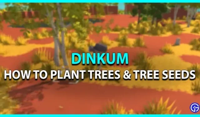 ディンクム: 木と木の種を植える方法