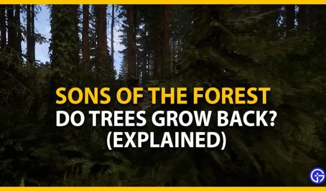Filhos da Floresta: As Árvores Crescem Novamente? (explicação)