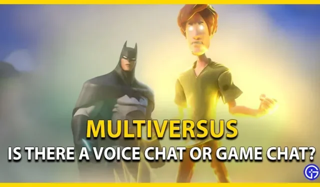 Verfügt MultiVersus über Voice-Chat? (antwortete)