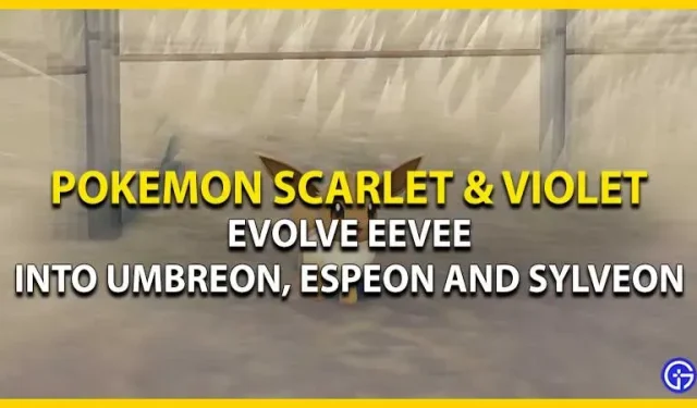 Pokemon Scarlet & Violet: як перетворити Eevee на Umbreon, Espeon і Sylveon