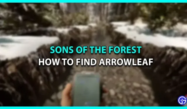 Как фармить Лист Стрелы в Sons of the Forest