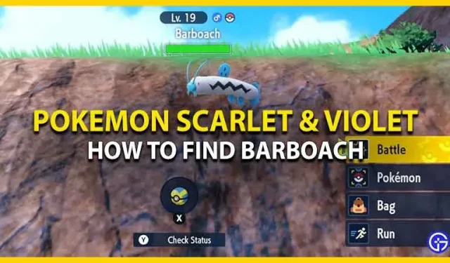 Pokemon Scarlet & Violet: kust leida Barbowchi