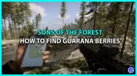 How to Find Guarana Berries in Sons of The Forest (Location)