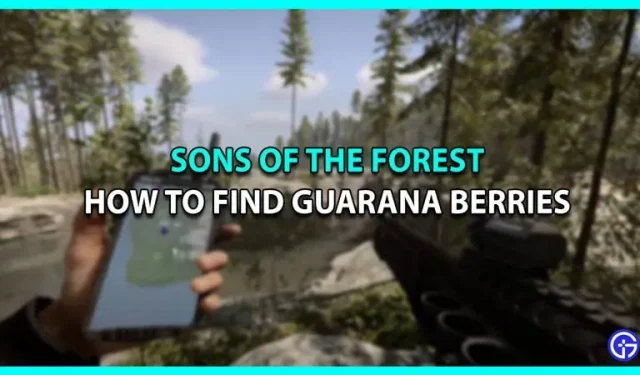 Hur man hittar Guaranabär i Sons of The Forest (plats)
