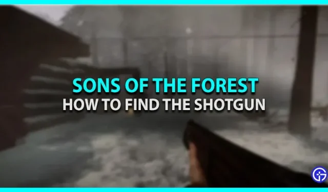 So finden Sie eine Schrotflinte in Sons of the Forest