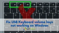 Repair Windows 11/10 USB Keyboard Volume Keys Not Functioning