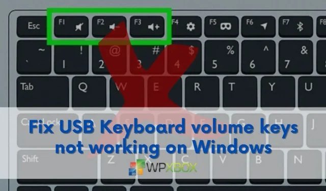 Herstel Windows 11/10 USB-toetsenbordvolumetoetsen werken niet