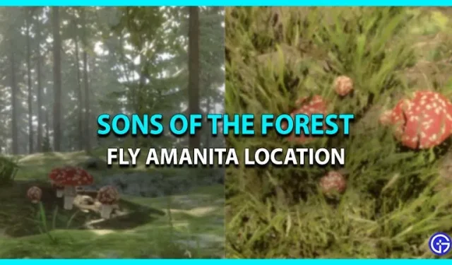 Sons of The Forest(위치)에서 Amanita 버섯을 얻는 방법