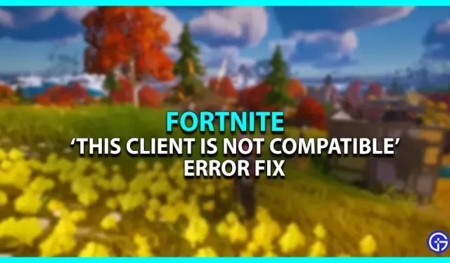 Erreur Fortnite : ce client est incompatible