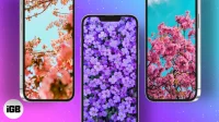Awesome spring wallpaper for iPhone 2023