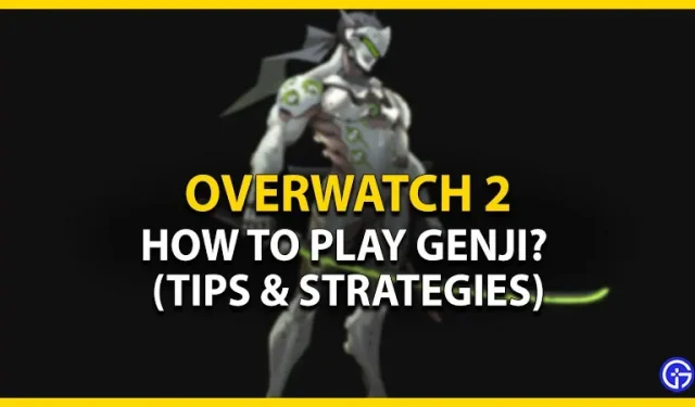 Overwatch 2 Genji: Spielanleitung (Tipps und Strategien)