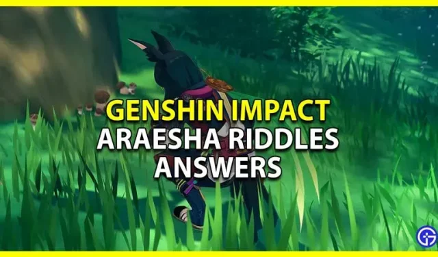 Genshin Impact: відповіді на загадки Араєші (посібник з фестивалю Утсава)