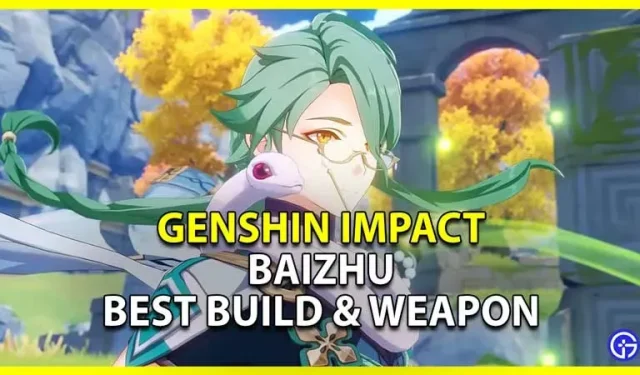 Genshin Impact: Baizhu Best Build (artefacts et armes)